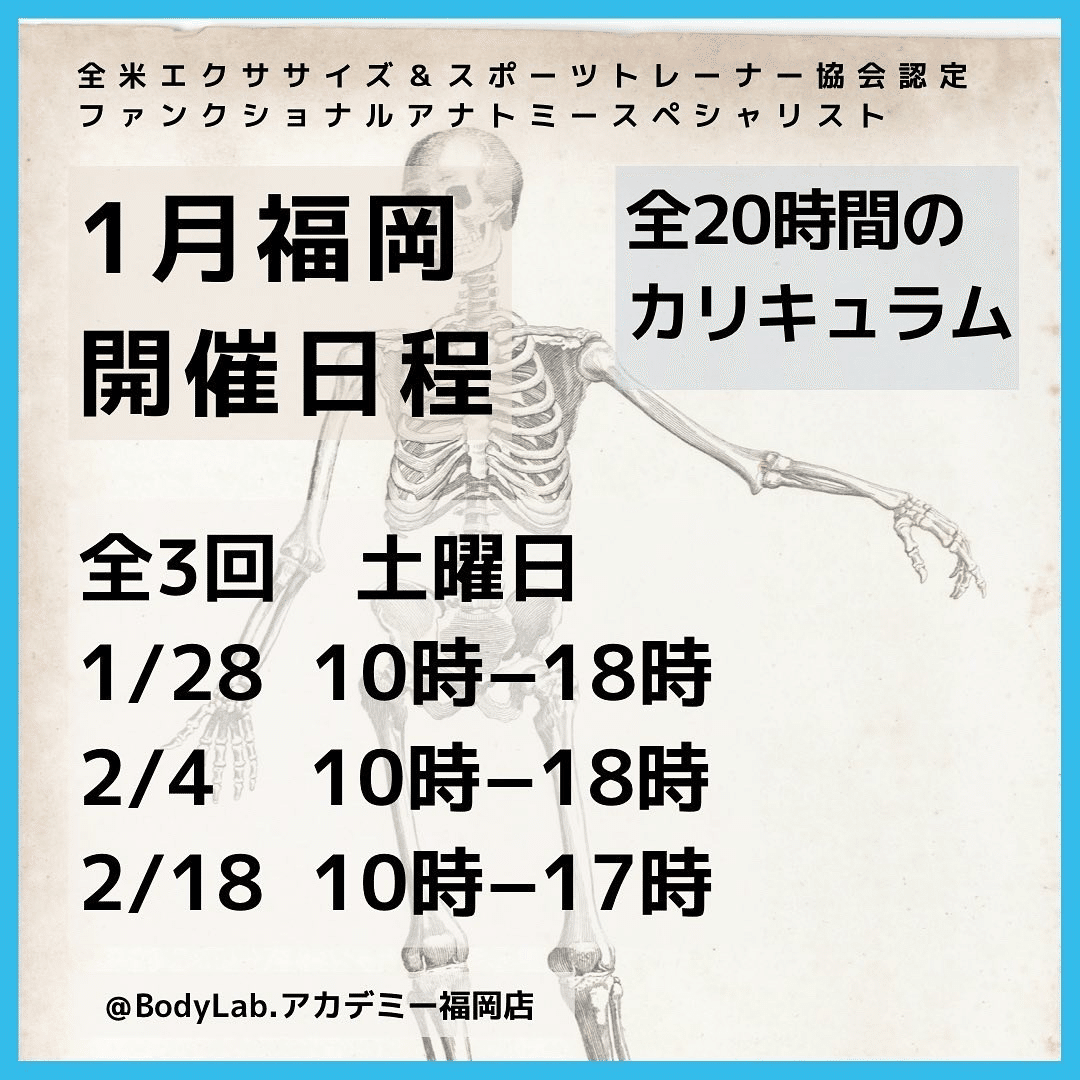 NESTAファンクショナルアナトミースペシャリストとはどんな資格