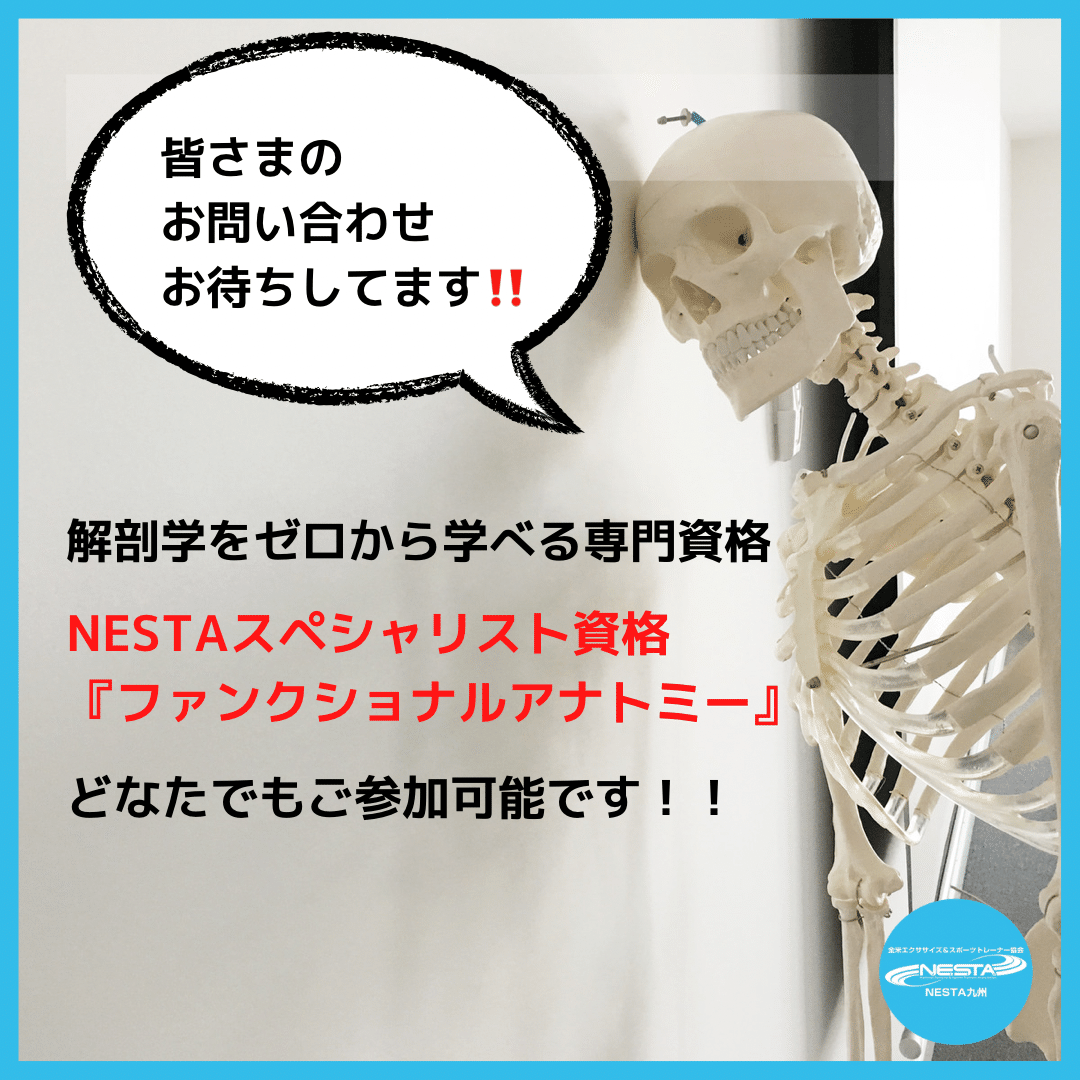 NESTAファンクショナルアナトミースペシャリストとはどんな資格