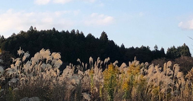 宗像自然農園、はじまります