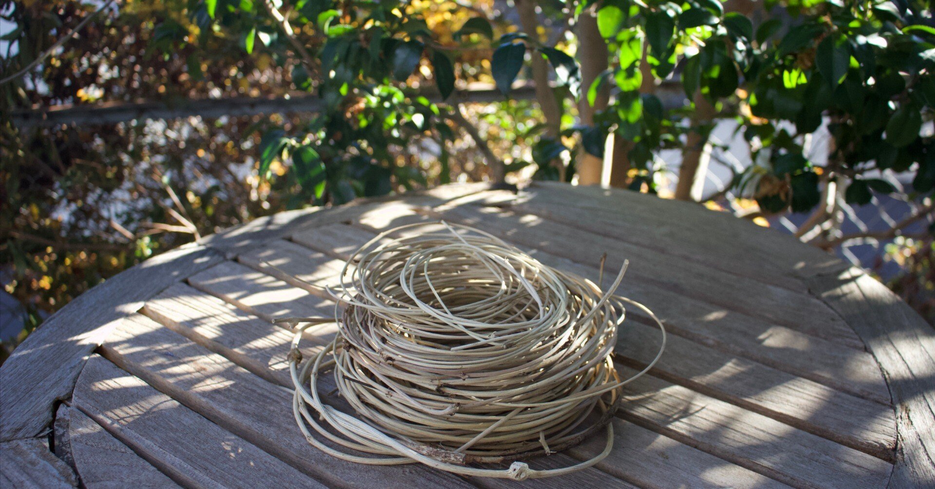 皮剥いたあけびのつる 皮剥いたあけびのツル