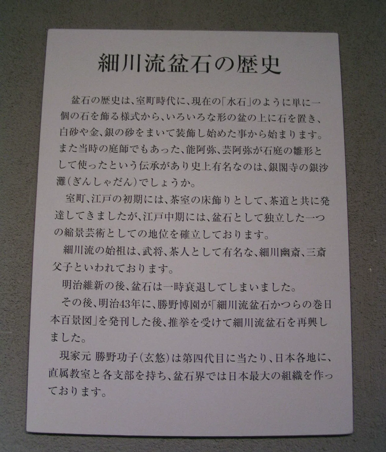 細川流盆石｜伝統工芸の箱推し つたえ手Saori