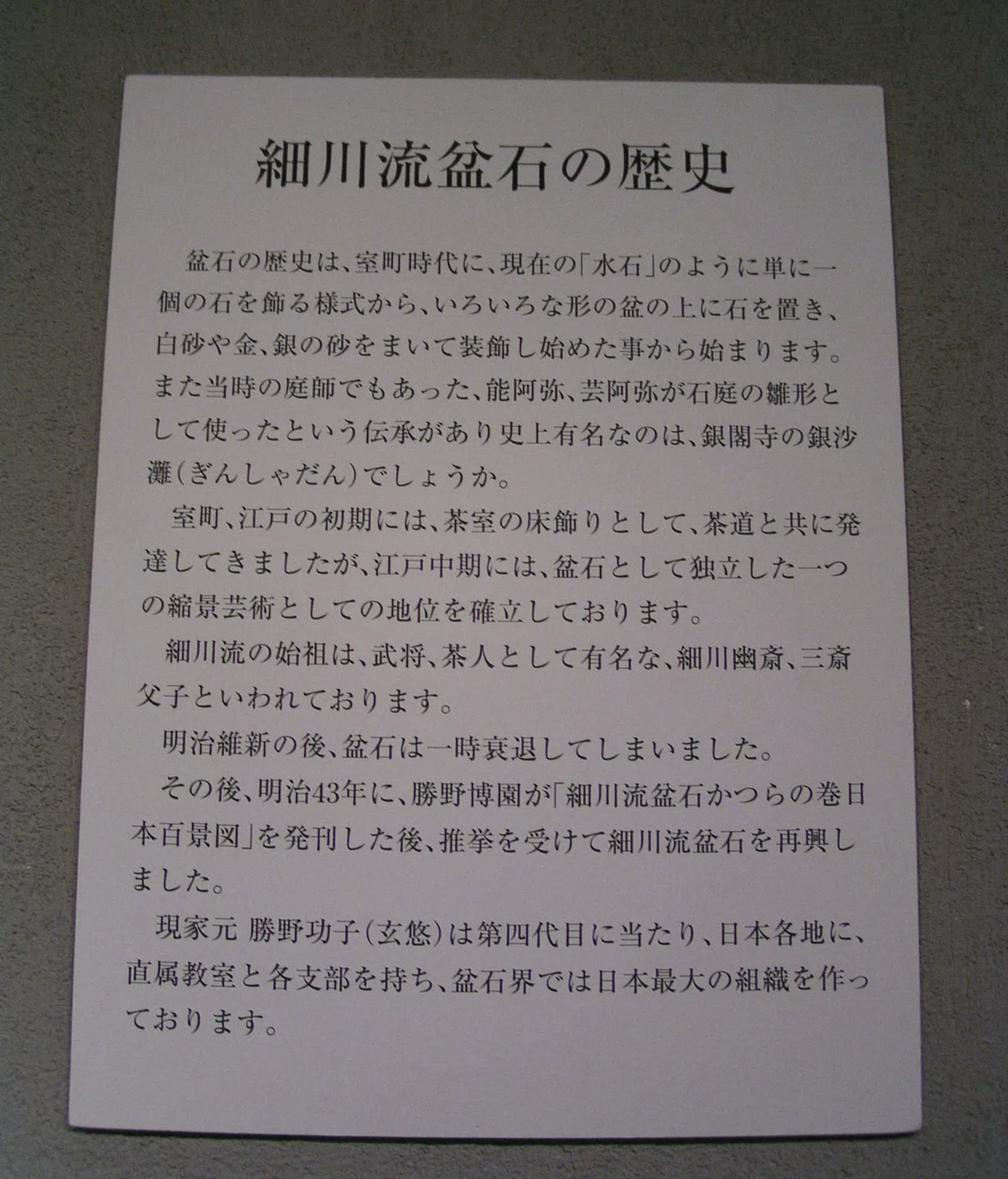 細川流盆石｜伝統工芸の箱推し つたえ手Saori