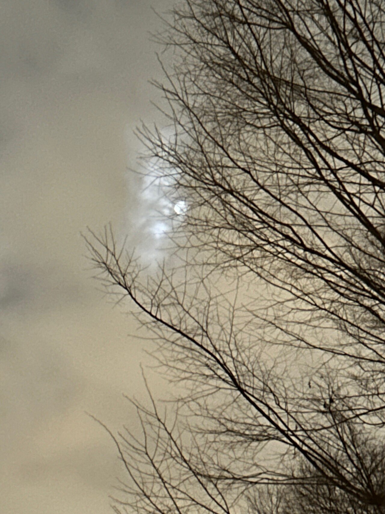 破裂音の音響特性について、破裂開始から声帯振動が始まるまでの時間を有声開始時間（VOT）という。典型的な無声破裂音[p][t][k]では破裂が