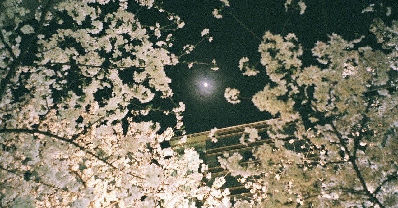 パタリロの涙 Fly Me To The Moon 佐藤 ののみ Note