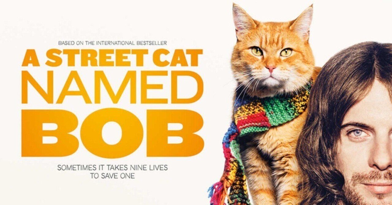 映画パンフレット猫ととうさん五香宮の猫が教えてくれたことねこしまボブという名の猫 映画パンフレット猫ととうさん五香宮の猫が教えてくれたことねこ