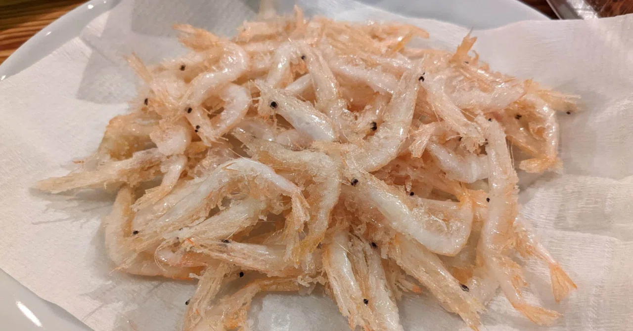 【富山を探す旅】白エビ以外に何がある?-富山県氷見市&高岡市編-|Nobu