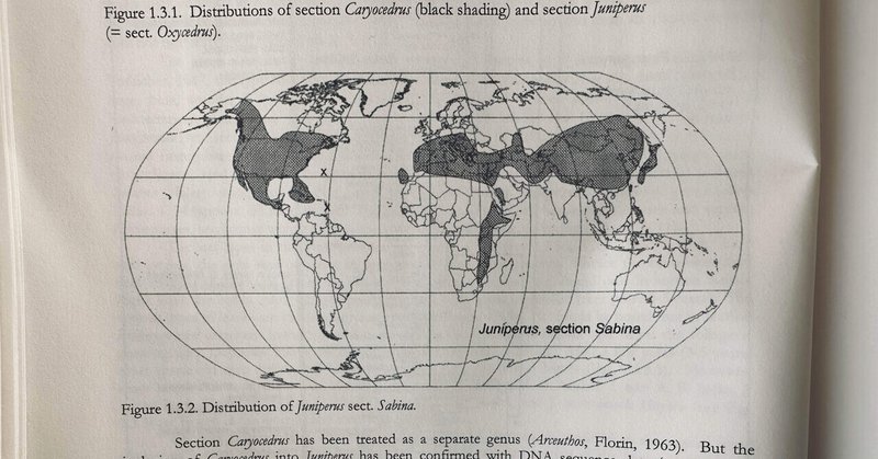 日本のネズの種類。ジン好きの皆様へ愛を込めて。