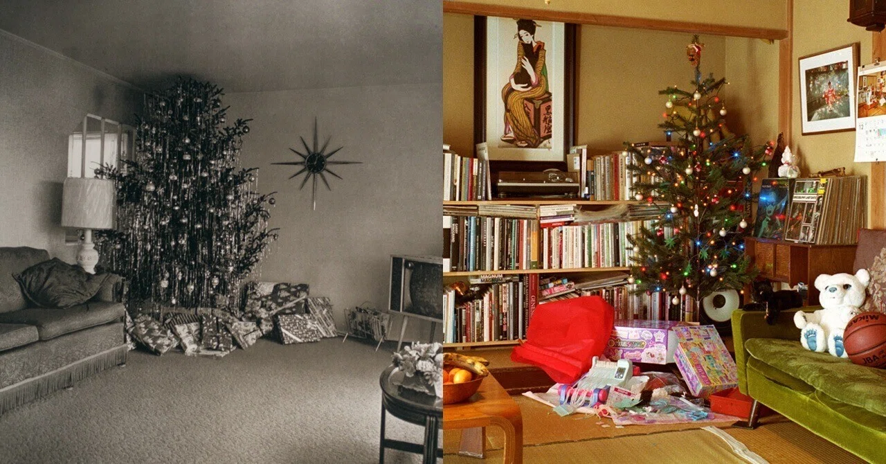 Diane Arbusのクリスマスツリーとレインコート｜Shin Noguchi