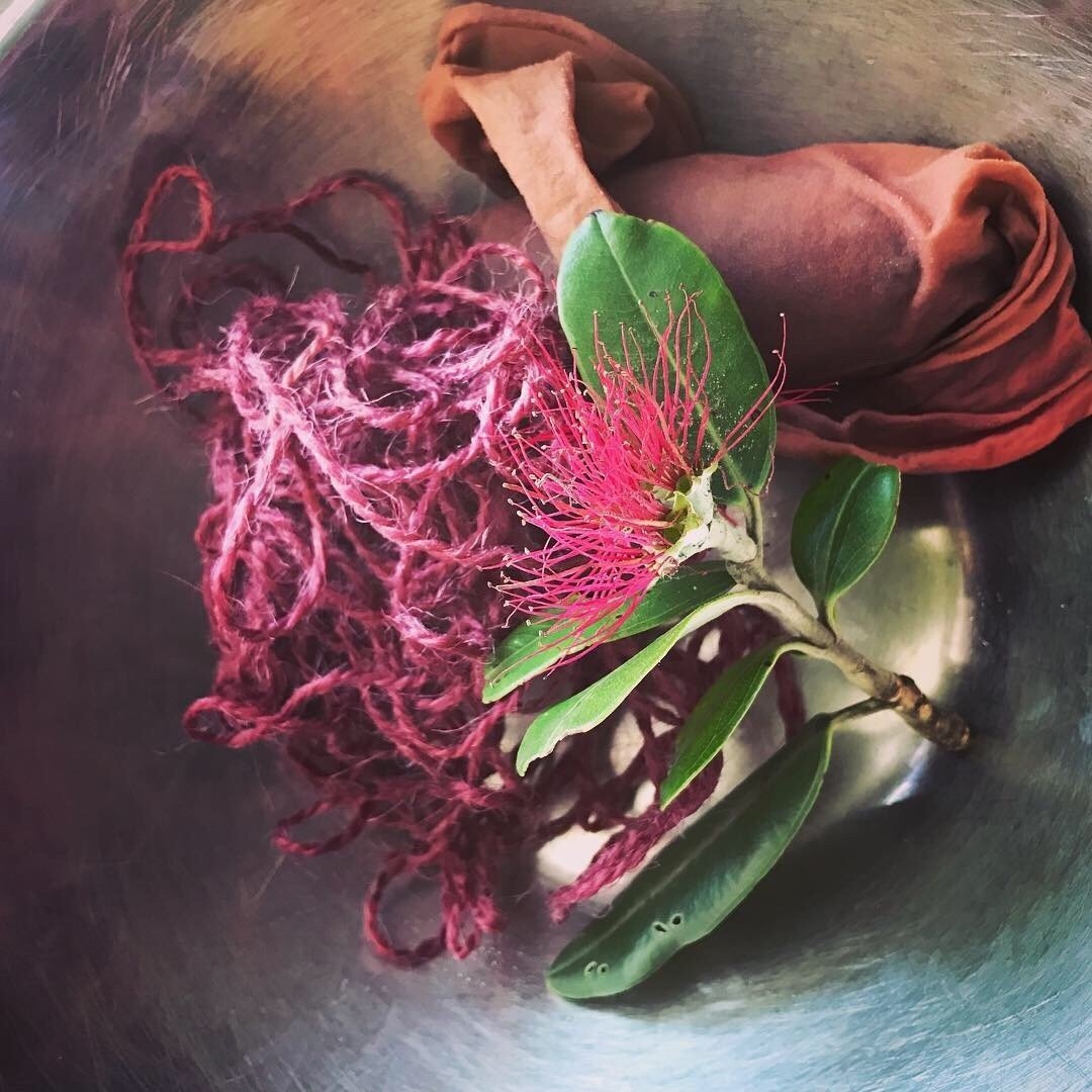 ポフツカワ の花をつかって 草木染めにチャレンジしてみた エコや地球温暖化などを考えと 人間は原始的な生活に戻ったほうが良いのだろうか それとも そういった地球問題すら解決出来る科学を極めていったほうが良 かりんinニュージーランド Note ポフツカワ の花をつかって 草木染めにチャレンジしてみた エコや地球温暖化などを考えと 人間は原始的な生活に戻ったほうが良いのだろうか それとも そういった地球問題すら解決出来る科学を極めていったほうが良 かりんinニュージーランド Note