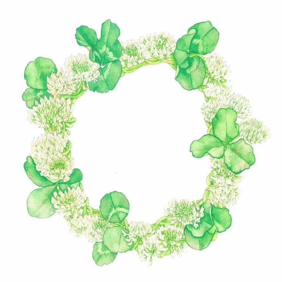 トウド　ヤヨイ