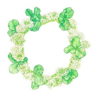 トウド　ヤヨイ