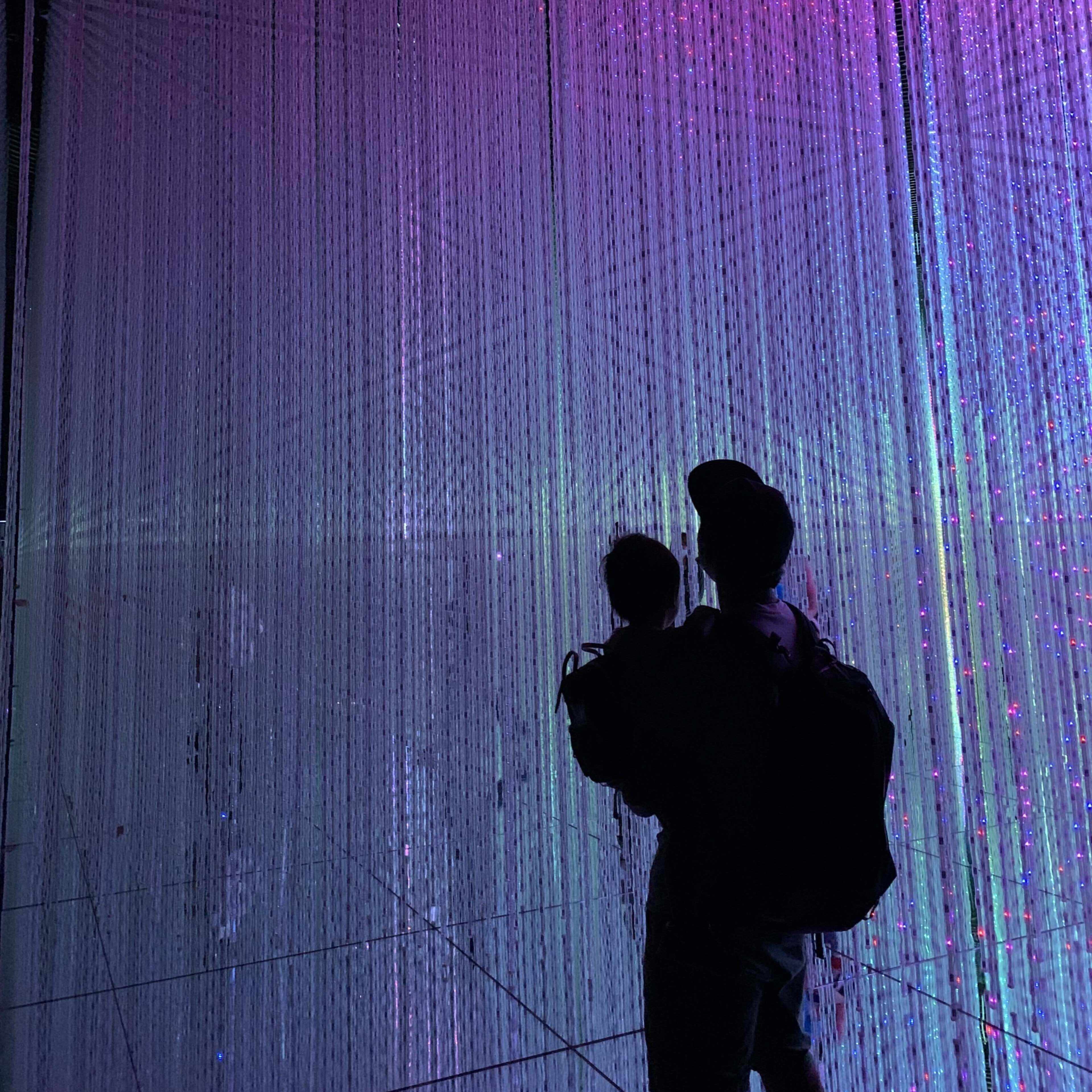 阿部彰　戦後地方教育制度成立過程の研究 5 令和6年度 東京都小学校体育研究会 研究発表大会から見る