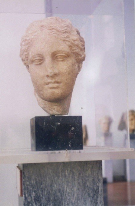 S-205 古代ヴィーナス首像（アバタのヴィーナス）｜石膏像ドットコム 