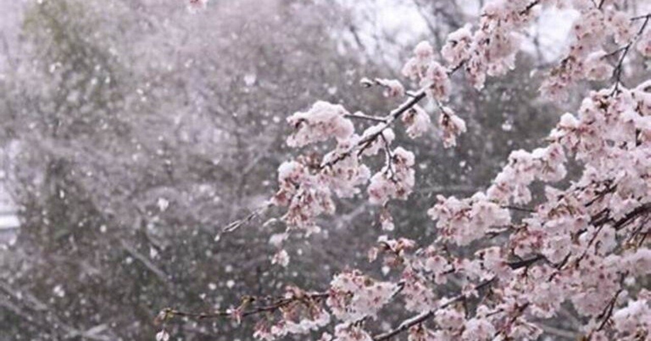 100】音楽の話：「22歳の別れ」と3つの「なごり雪」伊勢正三