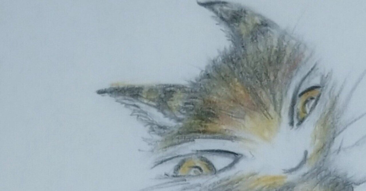 色鉛筆画 色鉛筆画「ダヤンとマーシィ」｜めっこ