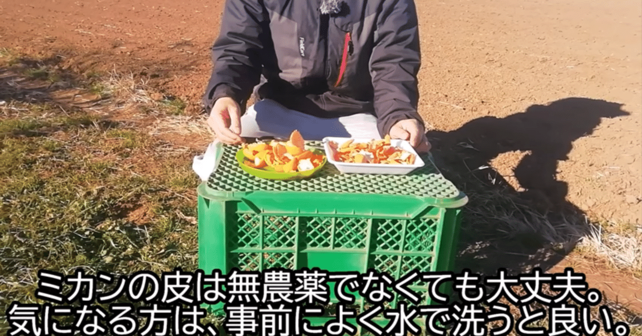 家庭菜園】みかんの皮を肥料にする方法をご紹介｜井上寅雄農園 / 井上