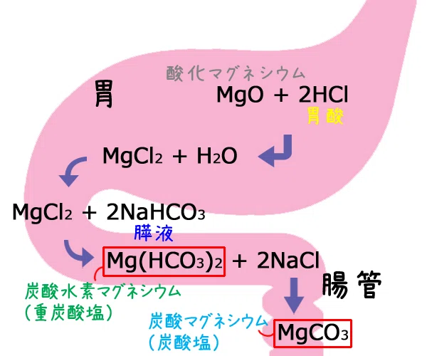 💊酸化マグネシウム（mgo）の作用機序 ※酸化マグネシウムはアルカリ性（塩類｜🐈‍⬛ミナト🍼薬剤師が教える市販薬【特化型note📔】 