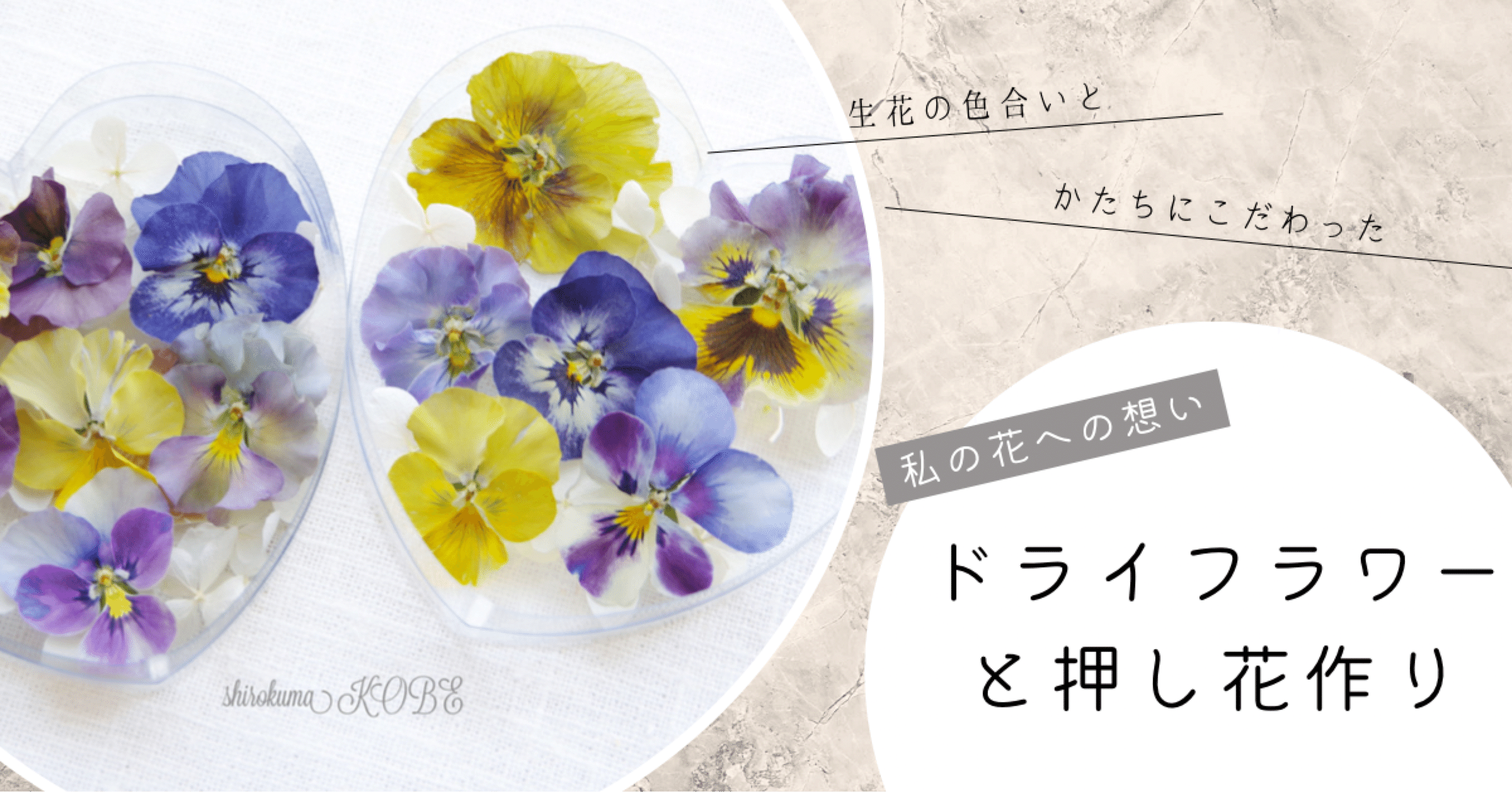 ドライフラワーと押し花作り｜shirokuma KOBE