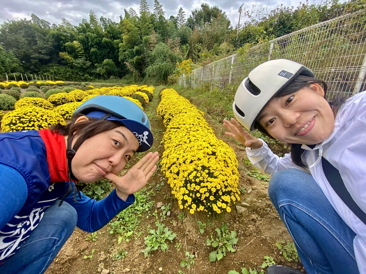 きららざか様交渉中③ ひらつかLaLaぽた ｢秋の吉沢八景巡り｣ SURUGA Cycle Journal Vol.123