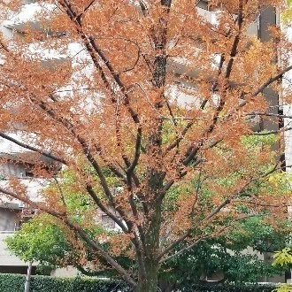 むなしい毎日 まいまい Note