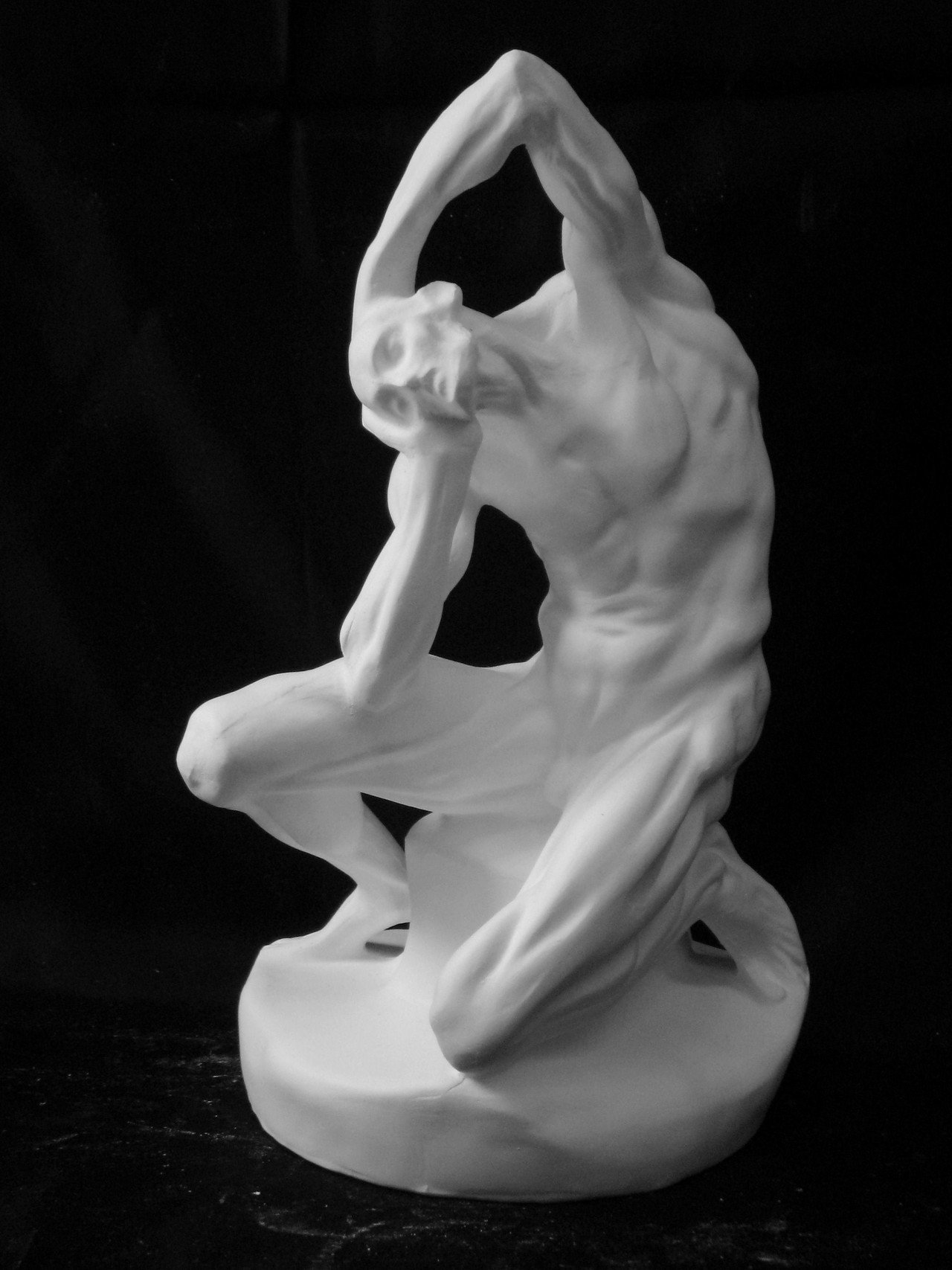 N-011 男子解剖座像｜石膏像ドットコム（脇本）