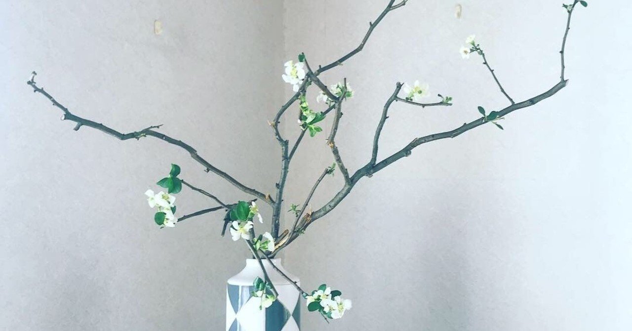 花より枝 のススメ こすぎゆみこ 花のある暮らし研究家 Note