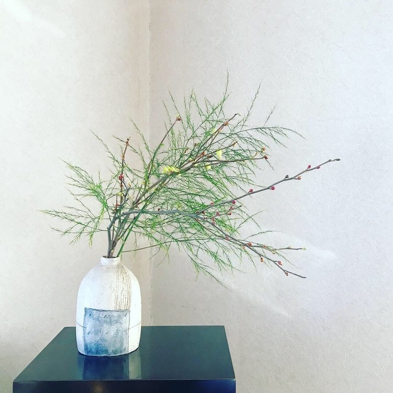 花より枝 のススメ こすぎゆみこ 花のある暮らし研究家 Note 花より枝 のススメ こすぎゆみこ 花のある暮らし研究家 Note