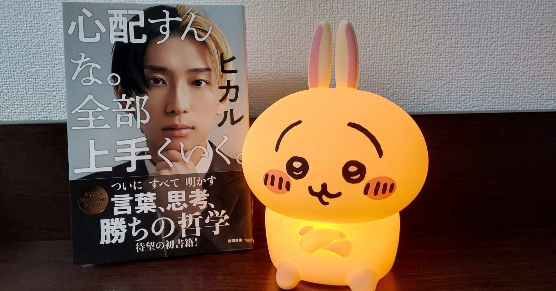 ヒカル『心配すんな。全部上手くいく。』の感想＆解説｜じょそみ