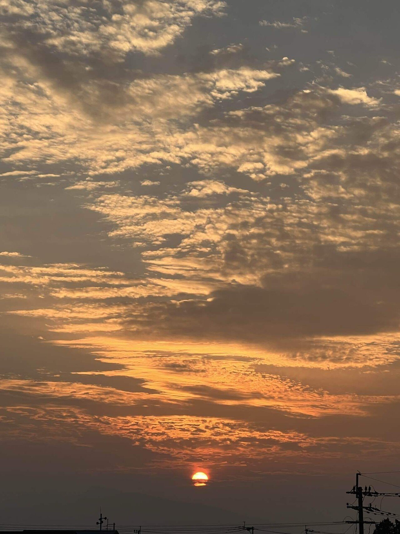 空が見える｜iPhoneカメラロール250枚空の写真｜わたしの豊かさ＃7