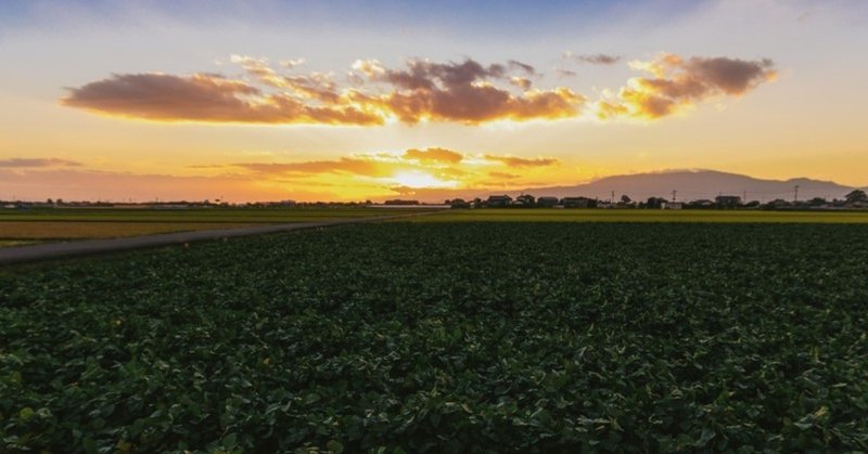 大人になってからの方がおもしろいって声を大にして言いたい 大濠くん Note