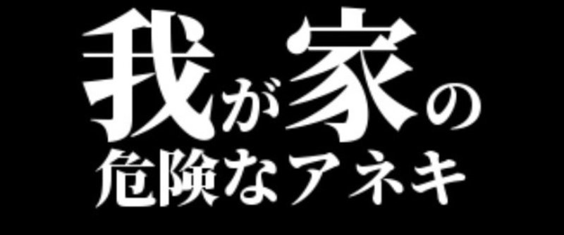 『ドラゴンボールの息子』その１０「我が家の危険なアネキ」