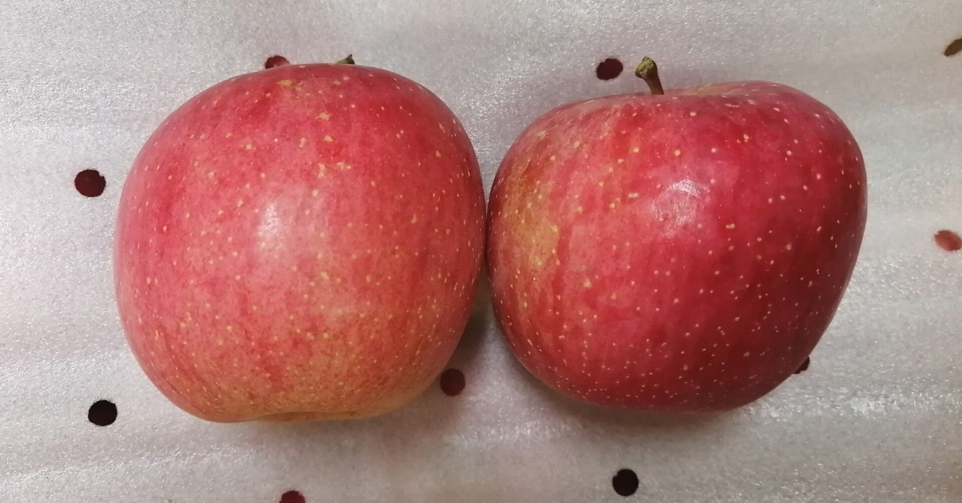 415e099a6d362b67650d66d8036e0b