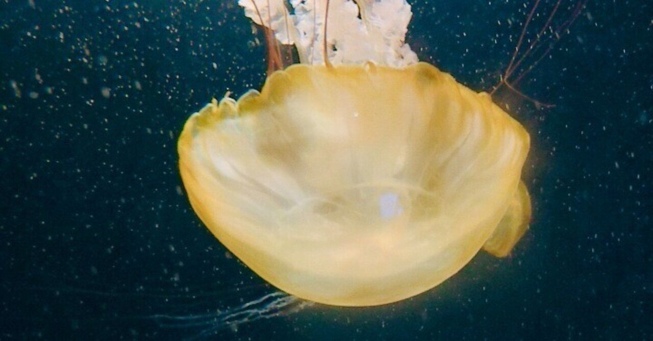 この美しい世界で あさの Note この美しい世界で あさの Note