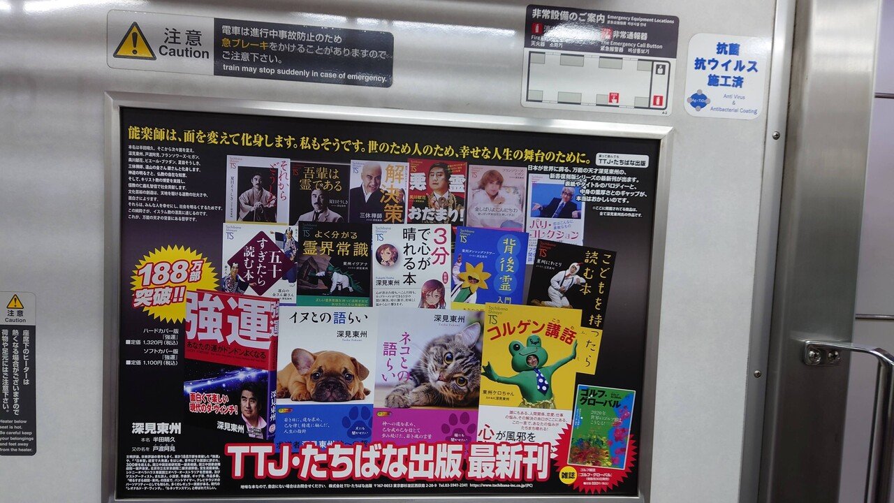 希少完売作 281/800 箱 布付 深見東州 大型 おぼろ月夜の白山 絵画