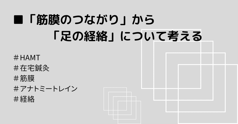 「筋膜のつながり」から「足の経絡」について考える