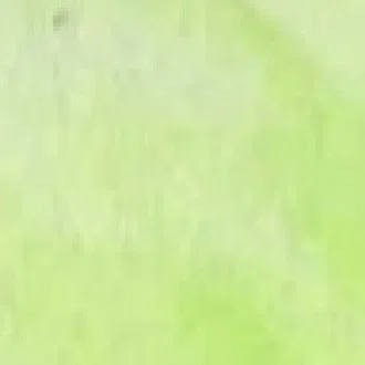 kiko