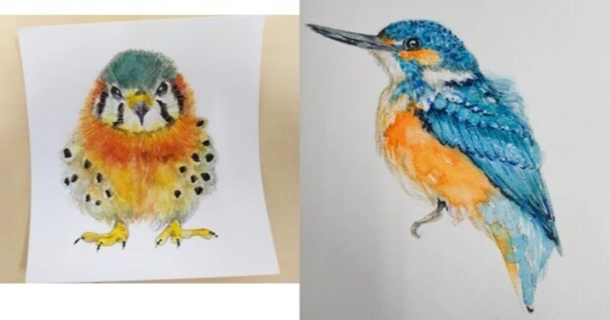透明水彩絵の具をしっかり発色させて鳥を描く練習｜かじよこ kaji yoco