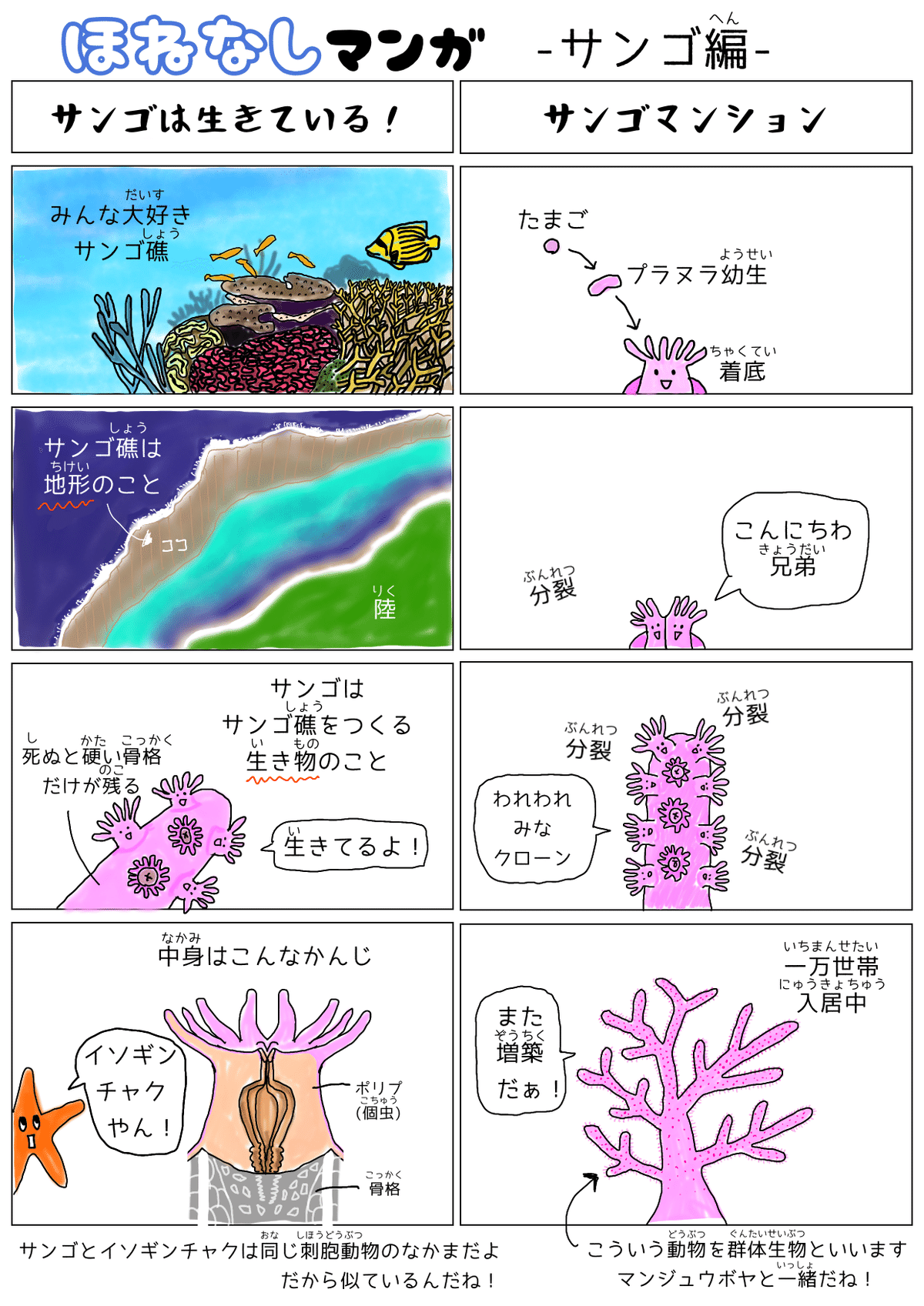 ほねなしマンガーサンゴ編ー｜ひとでちゃん/ サイエンス