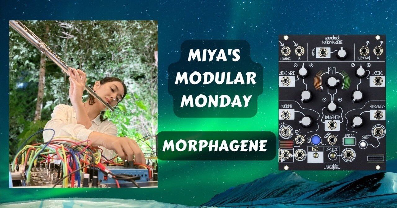 1月16日 生配信 Make Noise Morphagene 【Flute with Modular】｜Miya