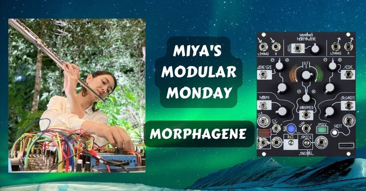 1月16日 生配信 Make Noise Morphagene 【Flute with Modular】｜Miya