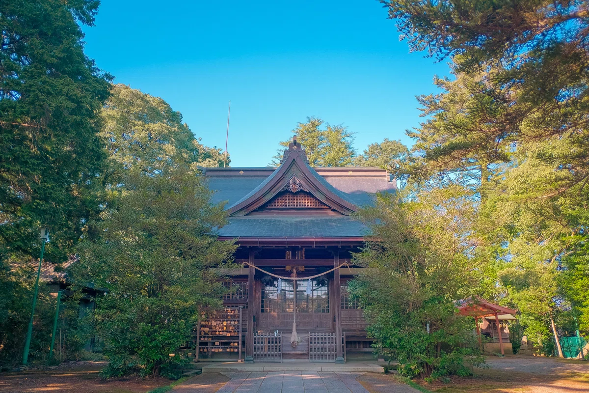 画像
