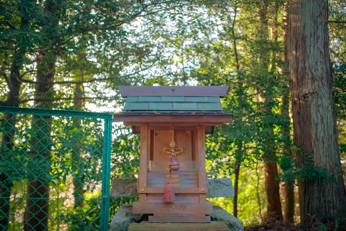 画像