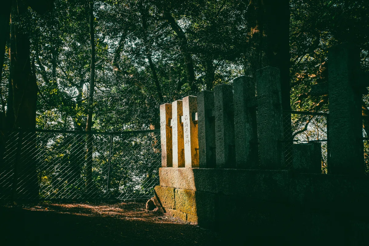 画像