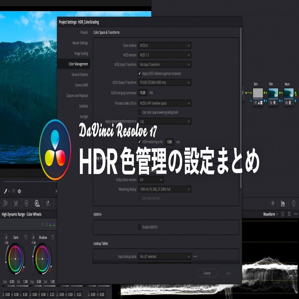 HDR 色管理システムの設定まとめ｜UMU TOKYO