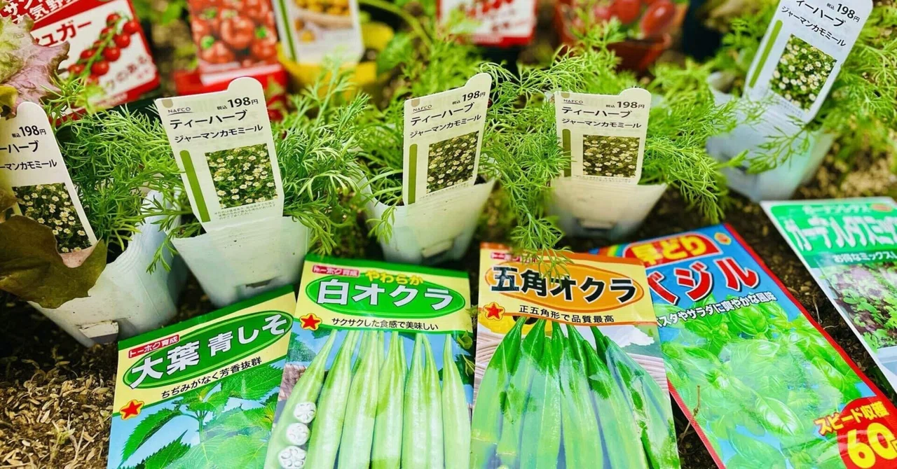 種 (種子) の通販サイト纏め|みっちょ