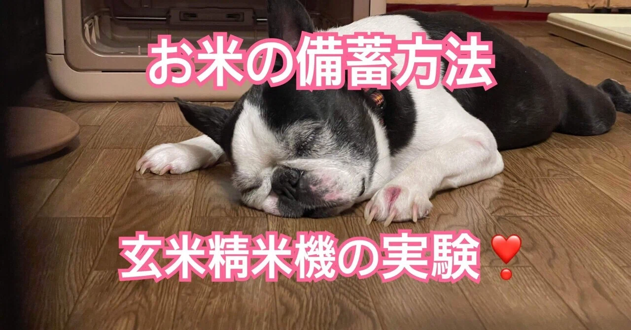 お米の備蓄、玄米精米方法の実験❣️｜どんぶらっこちゃん