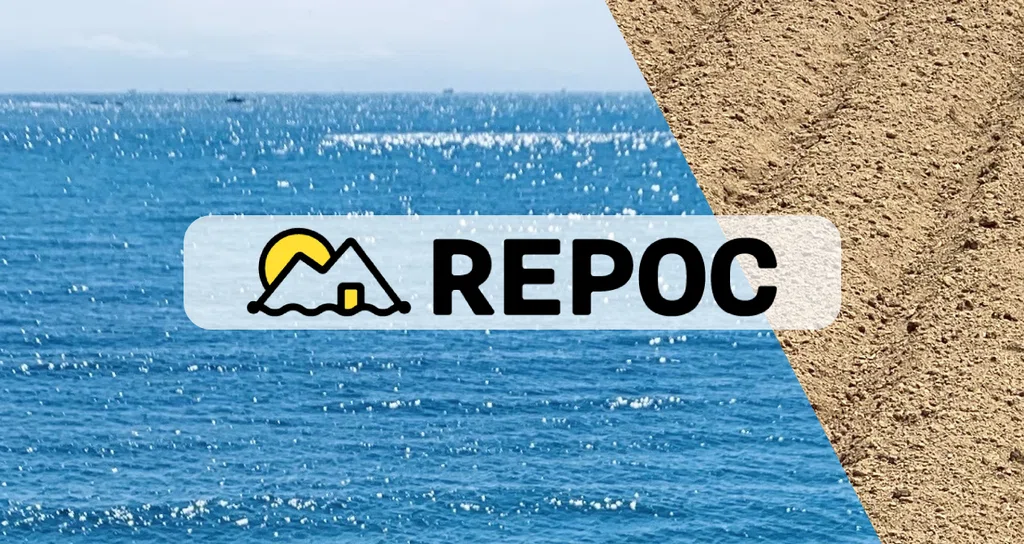 Repoc Structure REPOC|note