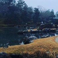 脱 置かれた場所で咲きなさい 日菜子 Note