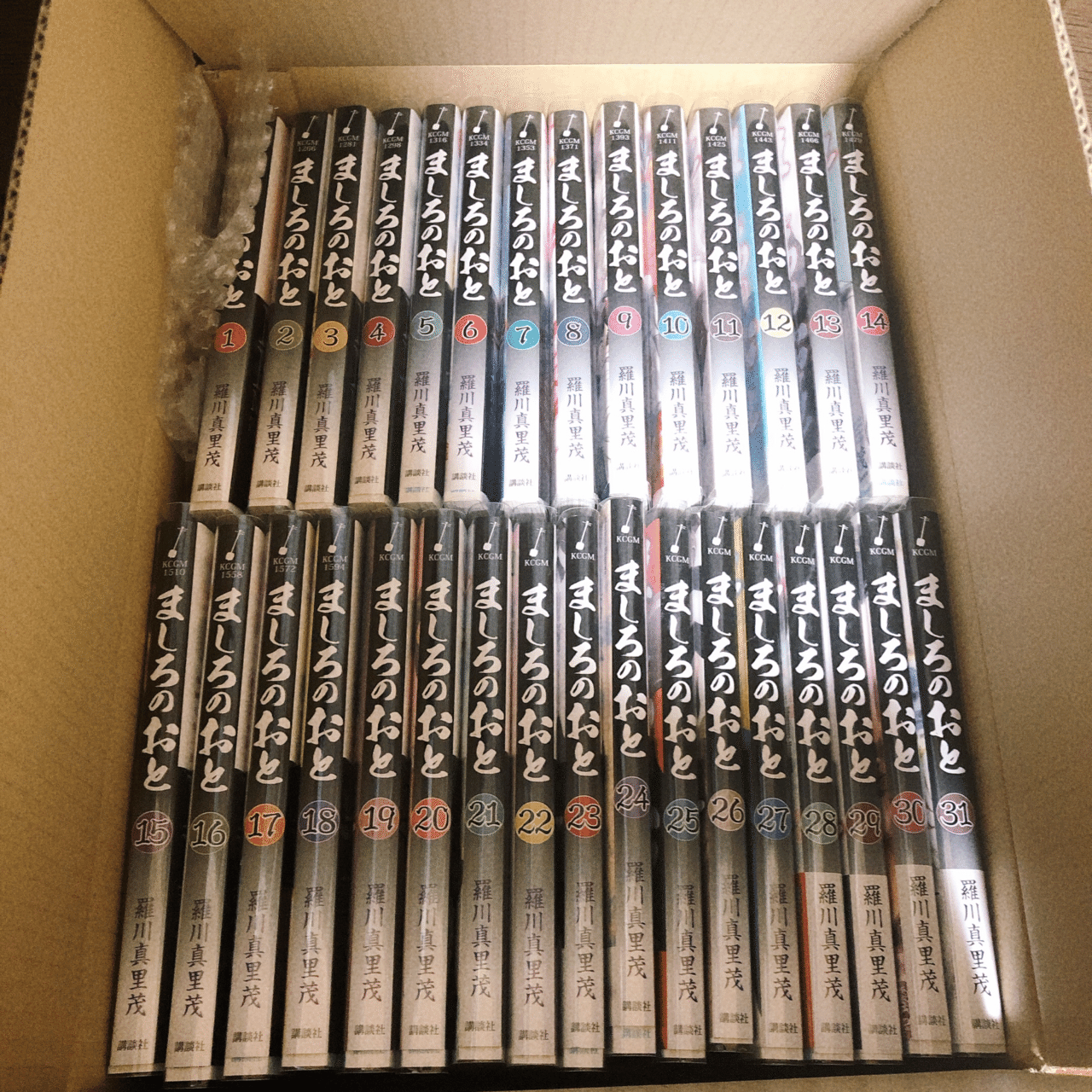 漫画「ましろのおと」全31巻を2日間で読んだ話｜おぴこ