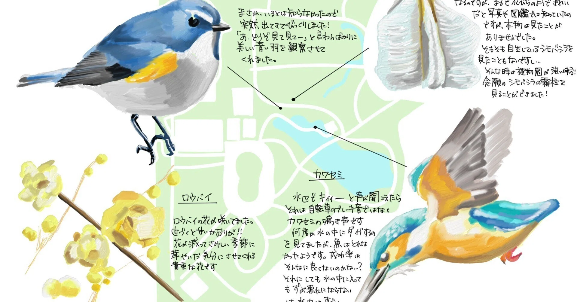 青い鳥たちが遊んでくれたのでいい一年になりそうな予感がした1月の 
